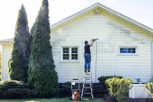 Best Driveway Pressure Washing  in Mount Airy, GA